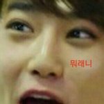 [EXO] 여기는EXO톡 입니다 <b>백현</b>은 ㅌ<b>x</b>ㅇ 입니다