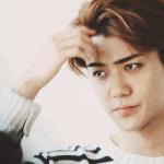 [EXO] <b>눈썹</b>숱많은애들은