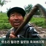 <b>자라</b>