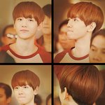 [EXO] 어제 짹짹이 백연이 제일 난리더만ㅋㅋㅋㅋㅋㅋ