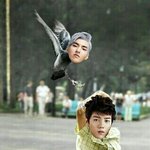 [EXO] 루둘기가 우둘기 <b>조련</b>하네