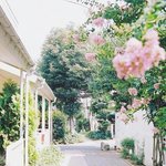[EXO] 미친우리아빠개멋져