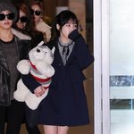 티아라 <b>보람</b> 입국 사진