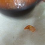 [조언부탁] 예당저수지 <b>대일</b>밴드어죽 충격