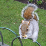 진정한 행복지표를 하나님의교회에서 발견했다.