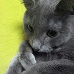 [깊은빡침] 신혼부부와 이웃집 과의 마찰과 갈등 해결