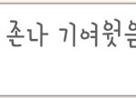 좋아하는것도 타이밍이필요한가봐 (사진있음)