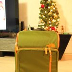 <b>백팩</b>이 혼자 움직여서 봤더니 ㅋㅋㅋㅋㅋ