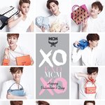 [EXO] 이 만한 가방엔 뭘 넣고다니는거야?