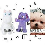 [EXO] 몽구 리락 캔디 슈슈 유니콘...다음은 누구냐