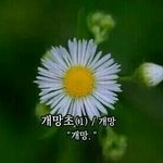 [EXO] 현재 판 상황을 사진으로 <b>표현</b>하시오
