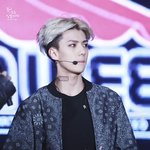 [뉴트] 보면 볼수록 귀엽다