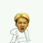 [EXO] 시발 똥나오는 구멍얘기좀 그만해