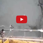 [<b>쭈니</b>] 번지점프 줄끊어진 사고