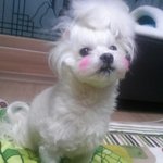 [아<b>리도</b>나] 안자고 버텨보려했지만.. 결국 ㅎㅎ