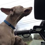 <b>찰나</b>를 찍은 기막힌 착시사진