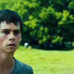 [뉴트] 뭘 잘못했는지 알기나 해 