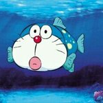 [뉴트] 요정 오늘 먹은것