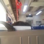 아.<b>흰머리</b>..