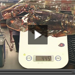 [방탈죄송] jtbc가 조작한 뉴스