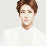 [EXO] LET'S <b>LOVE</b>