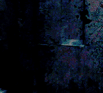 [뉴트] 요정뇬 내신은 상관 없오 ㅎㅎ 