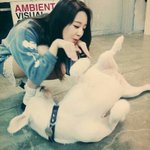[<b>뉴트</b>] 근데 탬커벨 톡선에서 ㄹㅇ많이봄