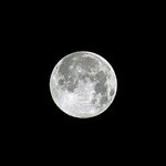 [EXO] 이번컨셉 뜬금없이 <b>smp</b>만 아니게해주세요