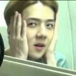 [EXO] <b>니</b>네가<b>팬</b>이냐