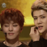 [EXO] 민석이최애중에 세훈차<b>애인</b>사람있어?