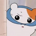 [EXO] 판하면서 부메랑 <b>여럿</b> 목격