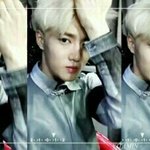 [EXO] 소고기랑치킨중에서<b>난소</b>고기