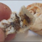 [개깊은빡침] 돼지곱창 불먹운동 이유2탄  놀라지마