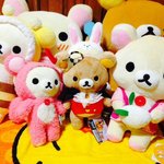 [EXO] 면토끼<b>실사</b>