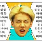 [EXO] 야막콘스탠딩 <b>C</b>,D가좋음?