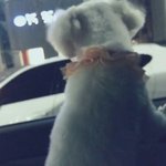 [EXO] 타오 옆자리 그녀.<b>jpg</b>