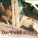 [연예가중계] 산체 손호준 <b>벌이</b>의 삼각 관계