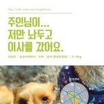 [유기견] [나주천사의집/<b>요키</b>]  이사가고 남은 빈집에 버려졌던...