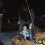 [EXO] <b>귓가</b>에들리는애기야