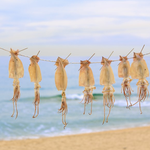 [EXO] 얘들아 메이즈<b>러너</b>재밌음 ? ㅠㅠ 제발 본사람 답좀