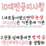 10대판공지<b>사항</b>