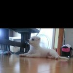 [EXO] 카1스<b>몇달</b>만에 들어가봤는데