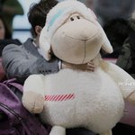 살다살다 인형을 부러워하게 되는 날이 오다니..