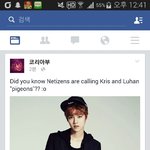 [꼭댓글부탁] 루우둘기에 대한 해외반응