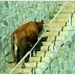 [연휴] 설날 끝난 <b>뒤</b> <b>내</b> 모습