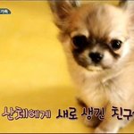 [검객] 유해진의 <b>센스</b>