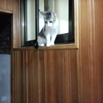 [쁘니단비] 쁘니 단비 <b>세배</b>^^새해 복많이 받으세요~~