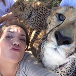 <b>야생동물</b>과 셀카 찍은 사람들