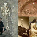[댓글부탁해] 너넨인어가있다고생각해?
