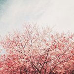 [EXO] 근데 내가보기엔 <b>설날</b>지나서